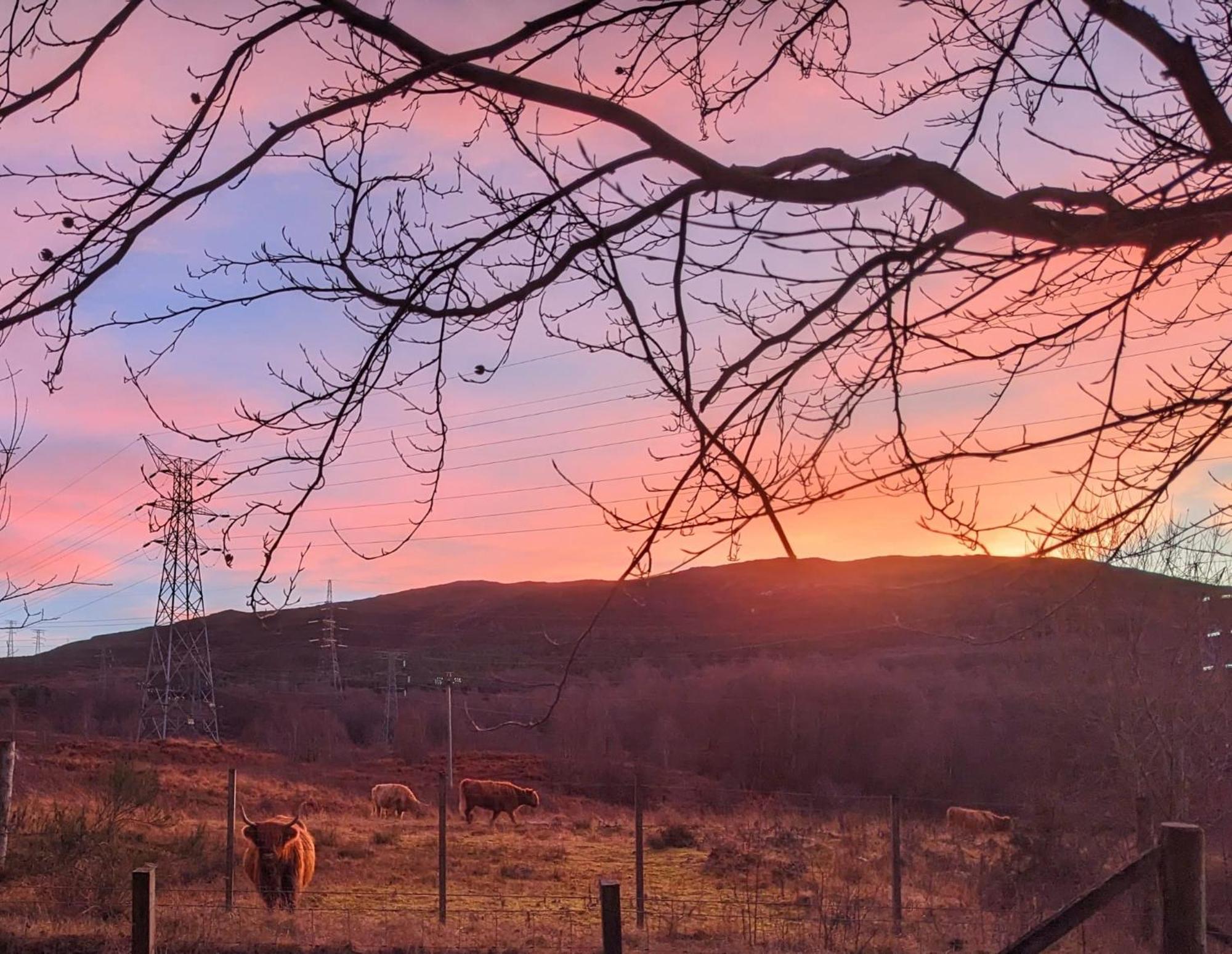 Studio Cottage Tummel Bridge Luaran gambar